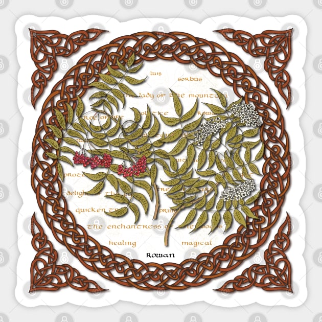 Celtic Rowan Sticker by lottibrown